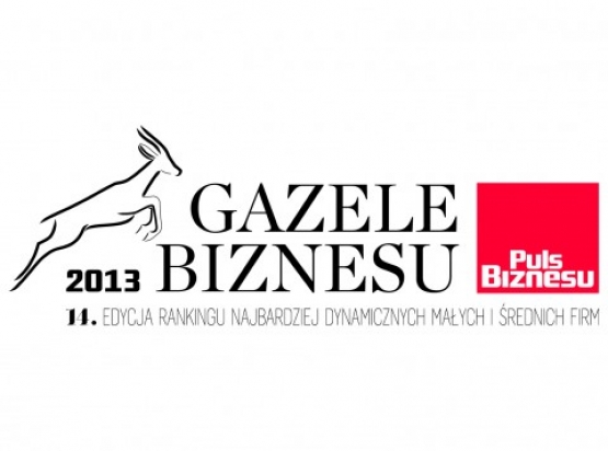 Gazela Biznesu 2013