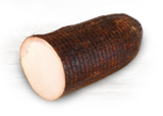 Schab bacy SO.200
